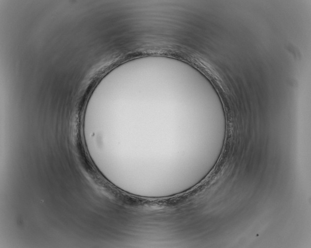 X0000114200586200910091050