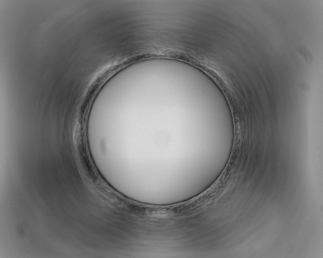 X0000114200587200910091050