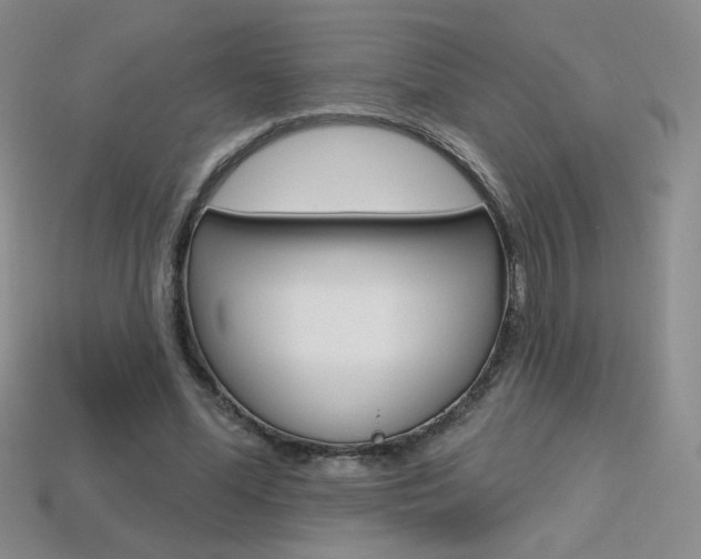 X0000114200588200910091050