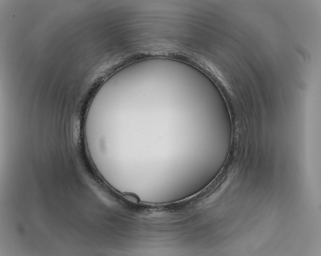 X0000114200589200910091050