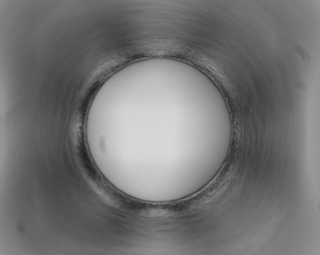 X0000114200590200910091050