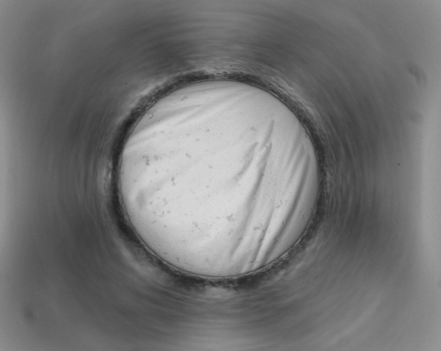 X0000114200592200910091050