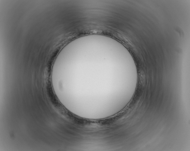 X0000114200594200910091050