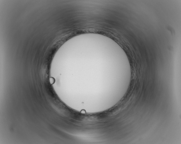 X0000114200599200910091050