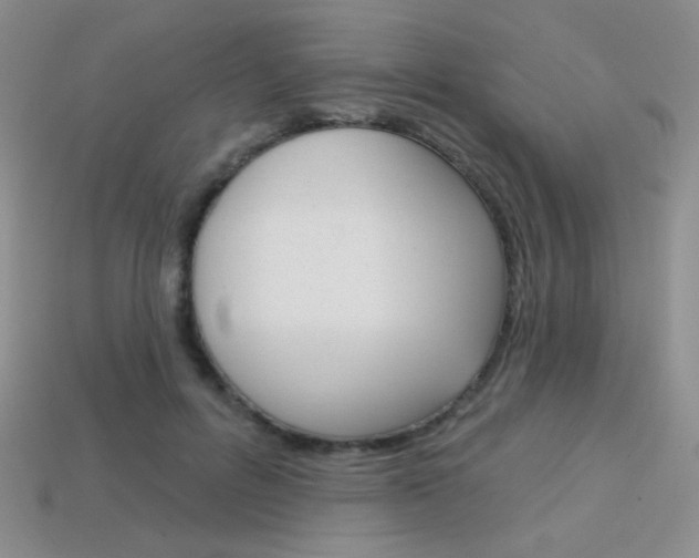 X0000114200600200910091050