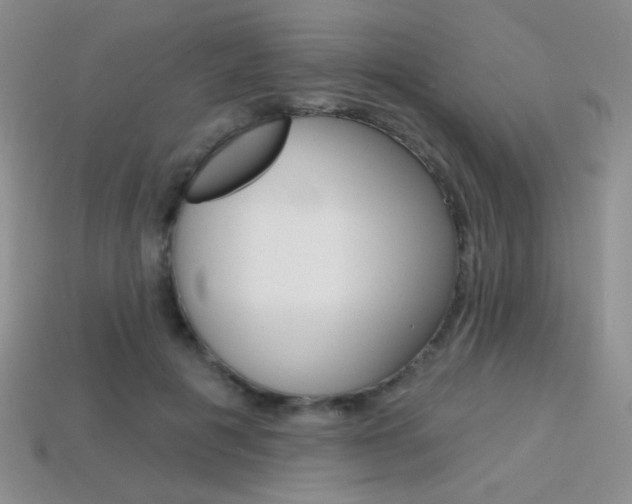 X0000114200601200910091050