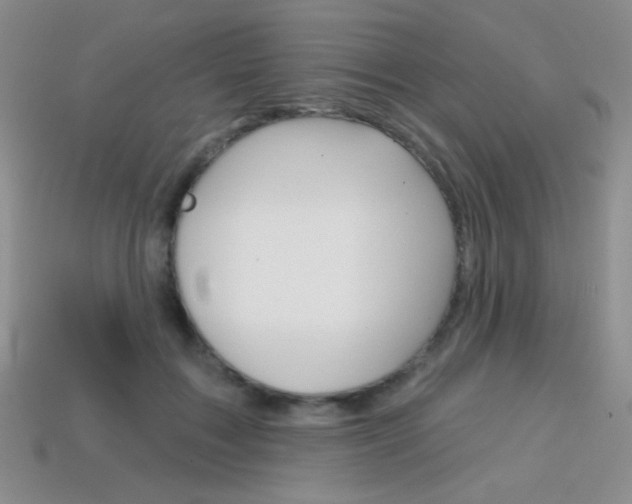 X0000114200603200910091050