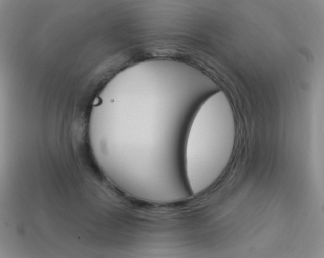 X0000114200604200910091050