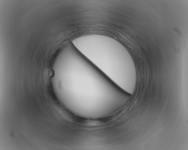 X0000114200605200910091050