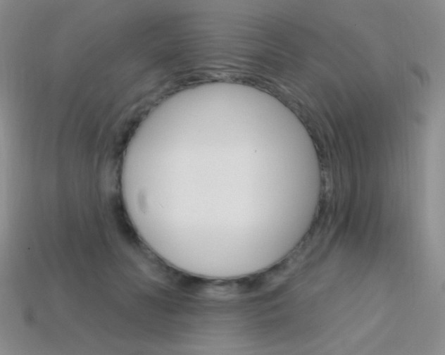 X0000114200606200910091050