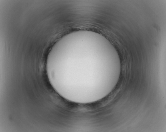 X0000114200608200910091050