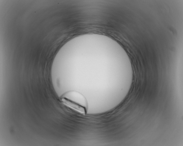X0000114200611200910091050