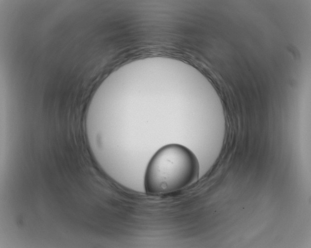 X0000114200613200910091050