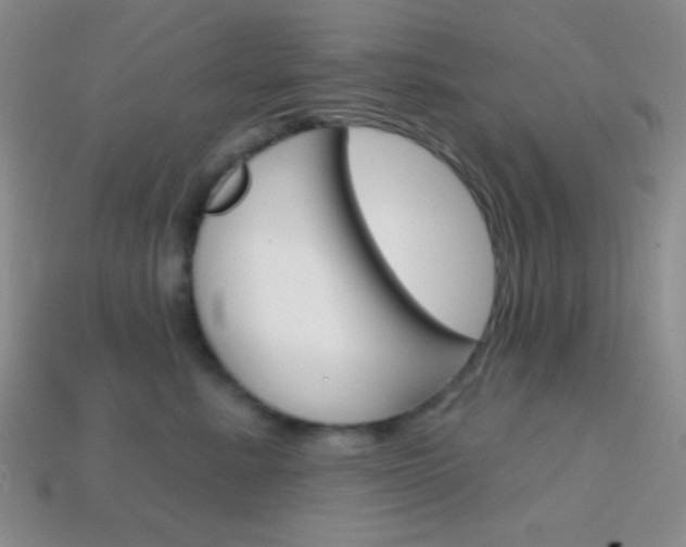 X0000114200619200910091050
