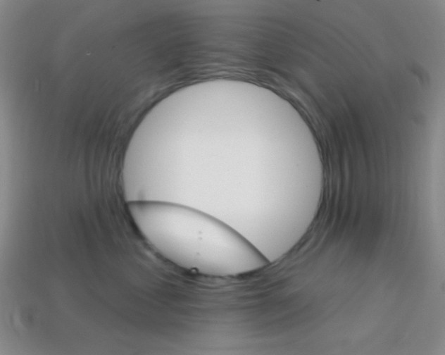 X0000114200621200910091049