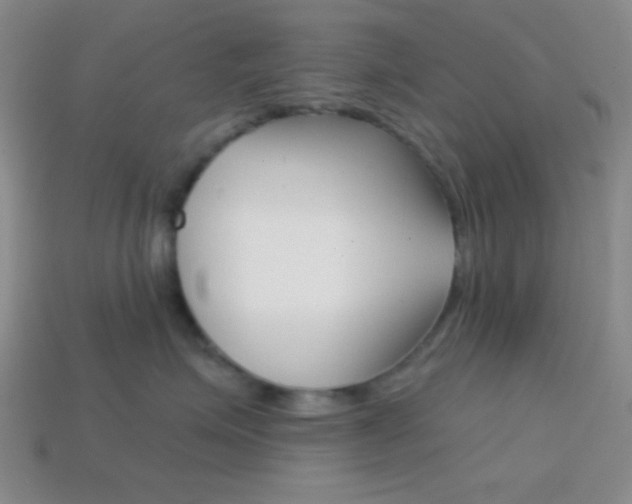 X0000114200623200910091049