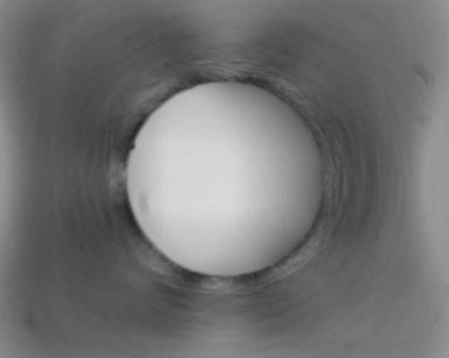 X0000114200624200910091049