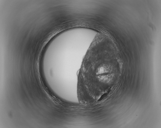 X0000114200626200910091049