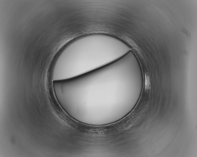 X0000114200627200910091049