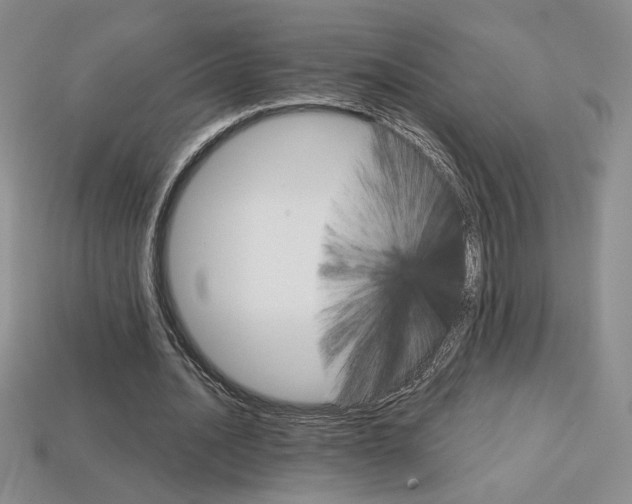 X0000114200628200910091049