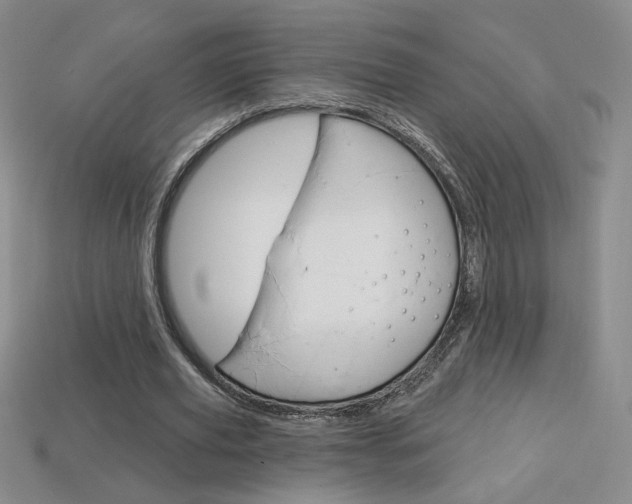X0000114200629200910091049