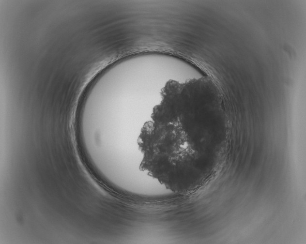 X0000114200630200910091049
