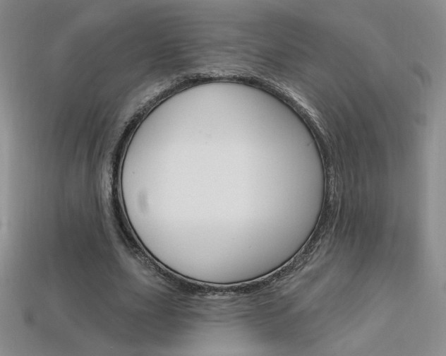X0000114200631200910091049