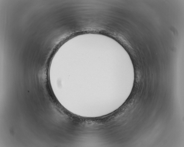 X0000114200632200910091049