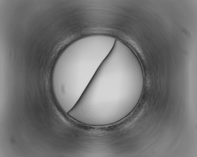 X0000114200633200910091049