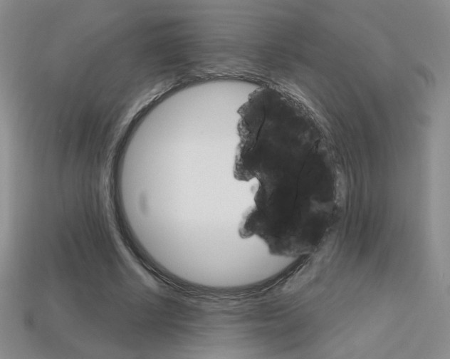 X0000114200634200910091049