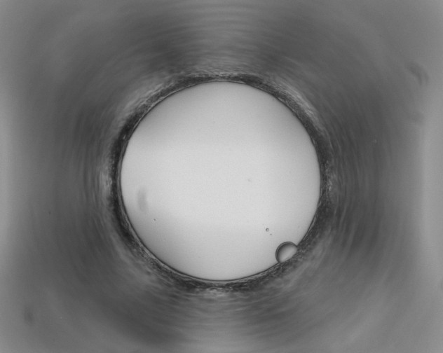 X0000114200635200910091049