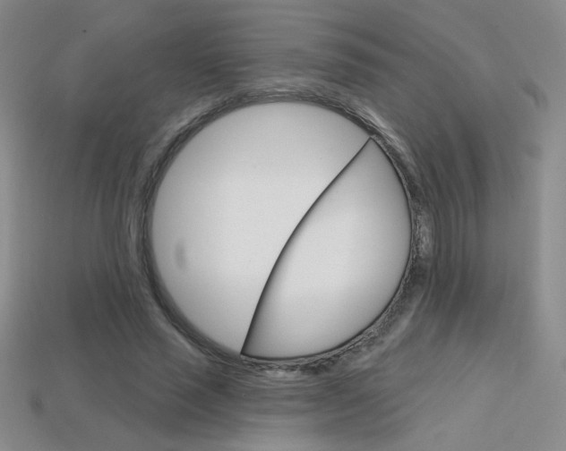 X0000114200637200910091049