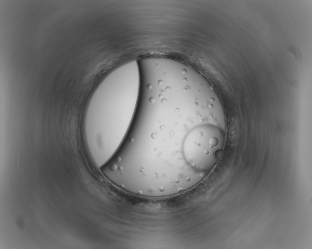 X0000114200639200910091049