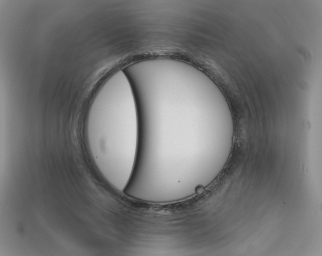 X0000114200640200910091049