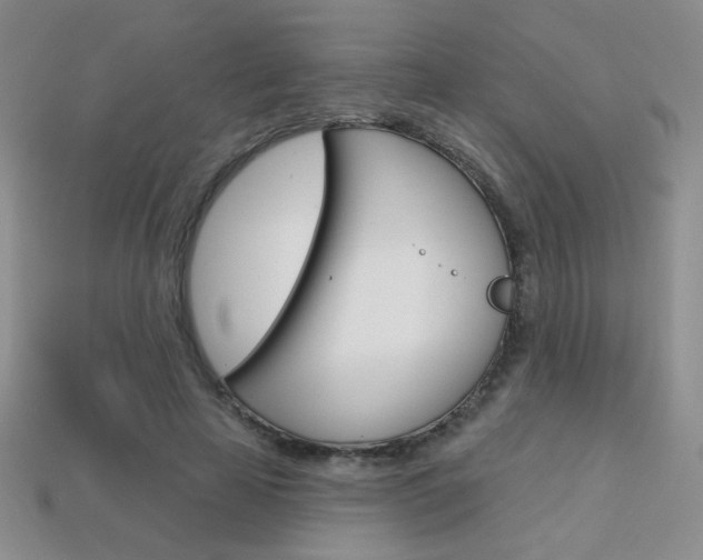 X0000114200641200910091049