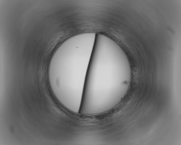 X0000114200642200910091049