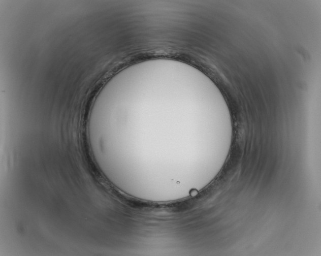 X0000114200643200910091049