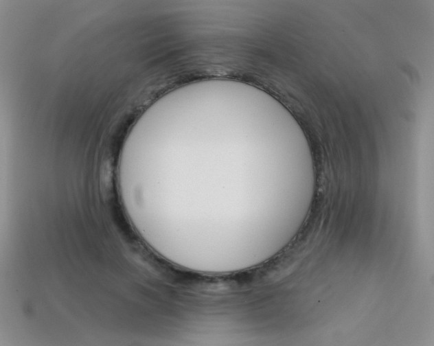 X0000114200646200910091049