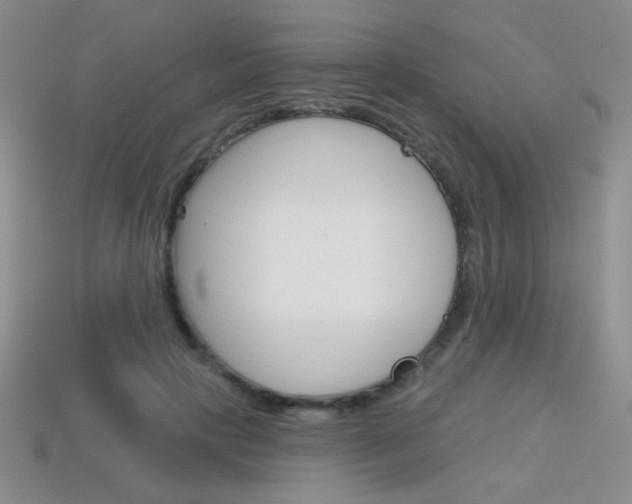 X0000114200649200910091049