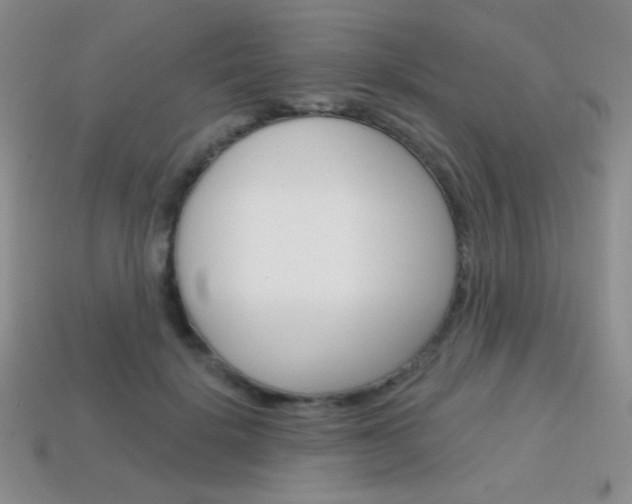 X0000114200652200910091049