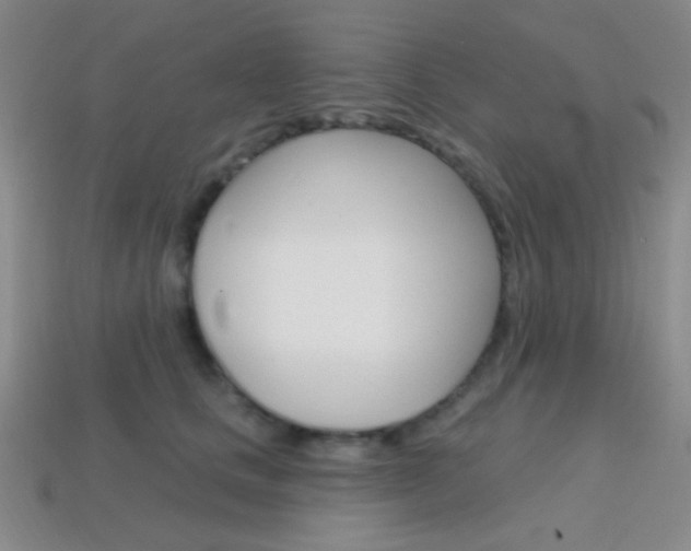 X0000114200661200910091049