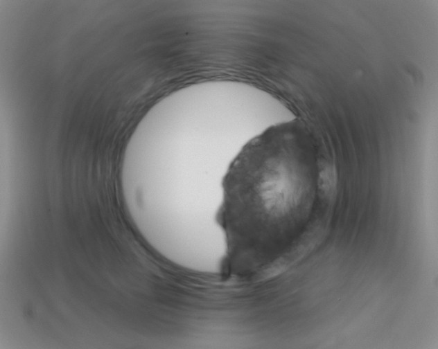 X0000114200662200910091049
