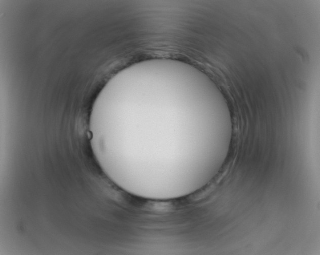X0000114200665200910091049