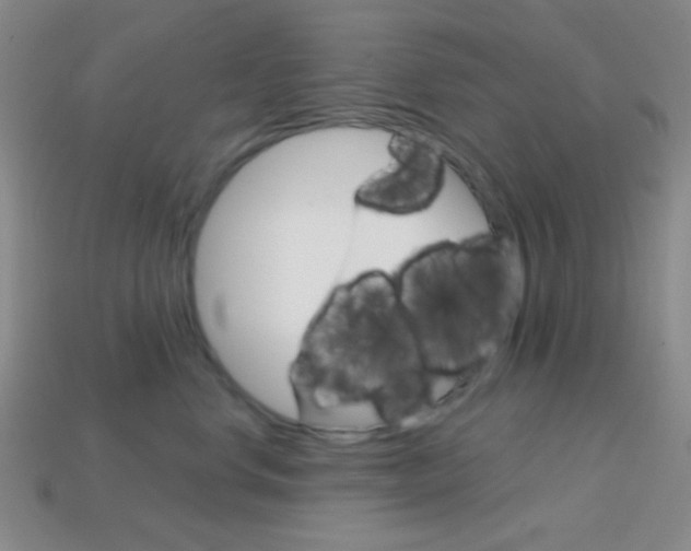 X0000114200668200910091049