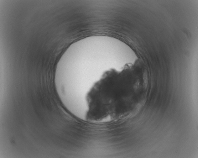 X0000114200670200910091049
