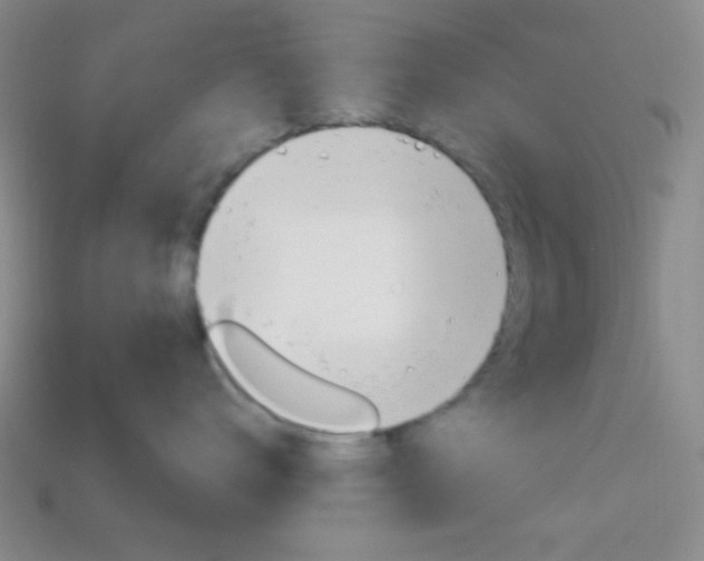 X0000114200672200910091049