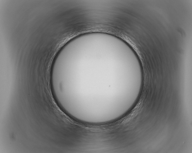 X0000114200673200910091049