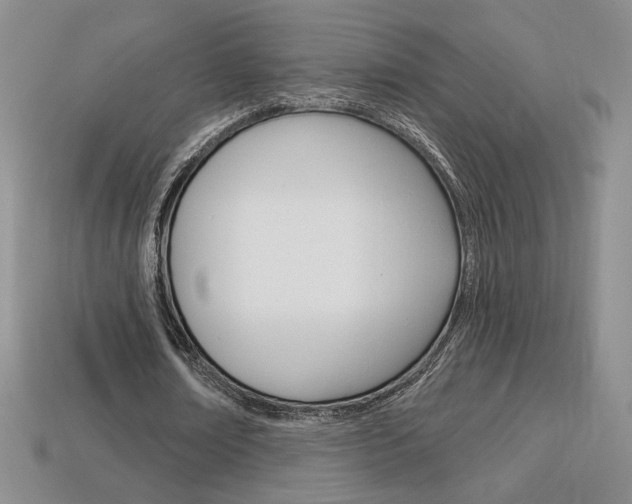X0000114200674200910091049
