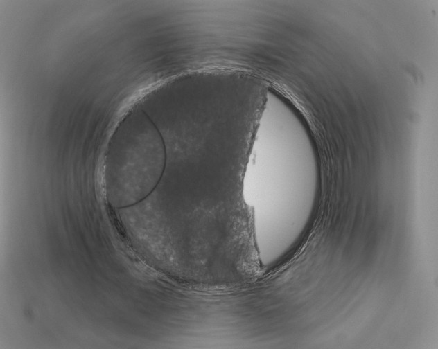 X0000114200675200910091049