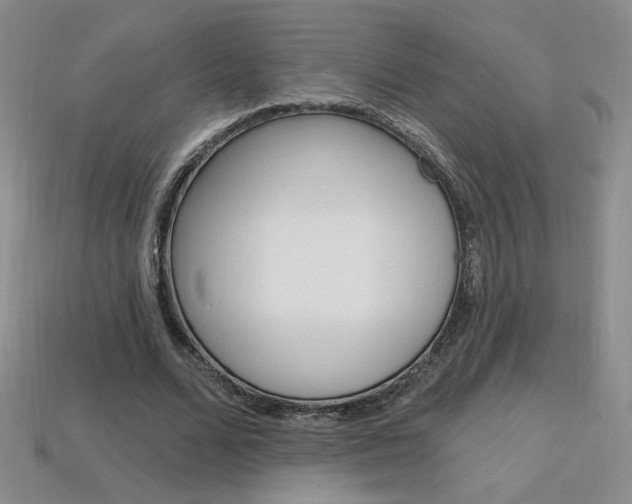 X0000114200680200910091049